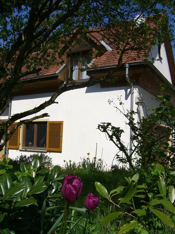 Ferienwohnung Lucia Huber Uhldingen-Mühlhofen Стая снимка